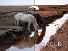 Load image into Gallery viewer, General purpose PRESETS for Adobe Lightroom and Adobe Camera Raw