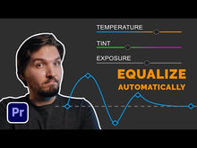 Load and play video in Gallery viewer, Light Equalizer plugin for Premiere Pro
