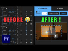 Load and play video in Gallery viewer, Drag Zoom Pro extension for Adobe Premiere Pro
